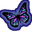 Multicolored Butterfly 