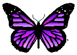 Purple Butterfly