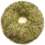 Alfalfa Donut
