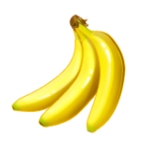 Banana Bunch