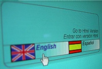 Computer screen with language choice