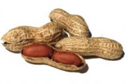 Shelled Peanuts