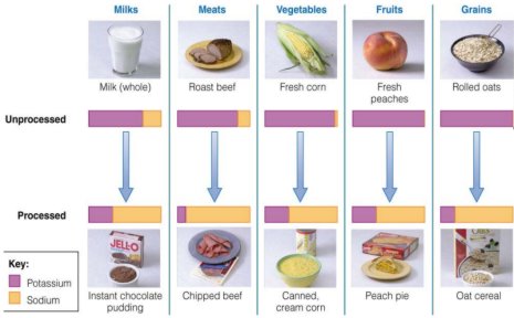 Potassium Rich Foods