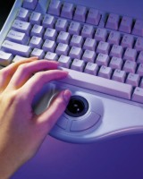 Hand on a Keyboard