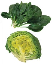 Spinach and Lettuce
