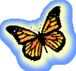 Yellow Butterfly Glow
