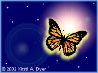 Butterfly in Dark Sky