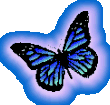 Blue Butterfly Glow