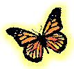 Yellow Butterfly Glow