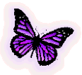 Glowing Purple Butterfly