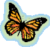 Small Orange Butterfly