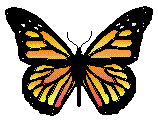 Orange Butterfly